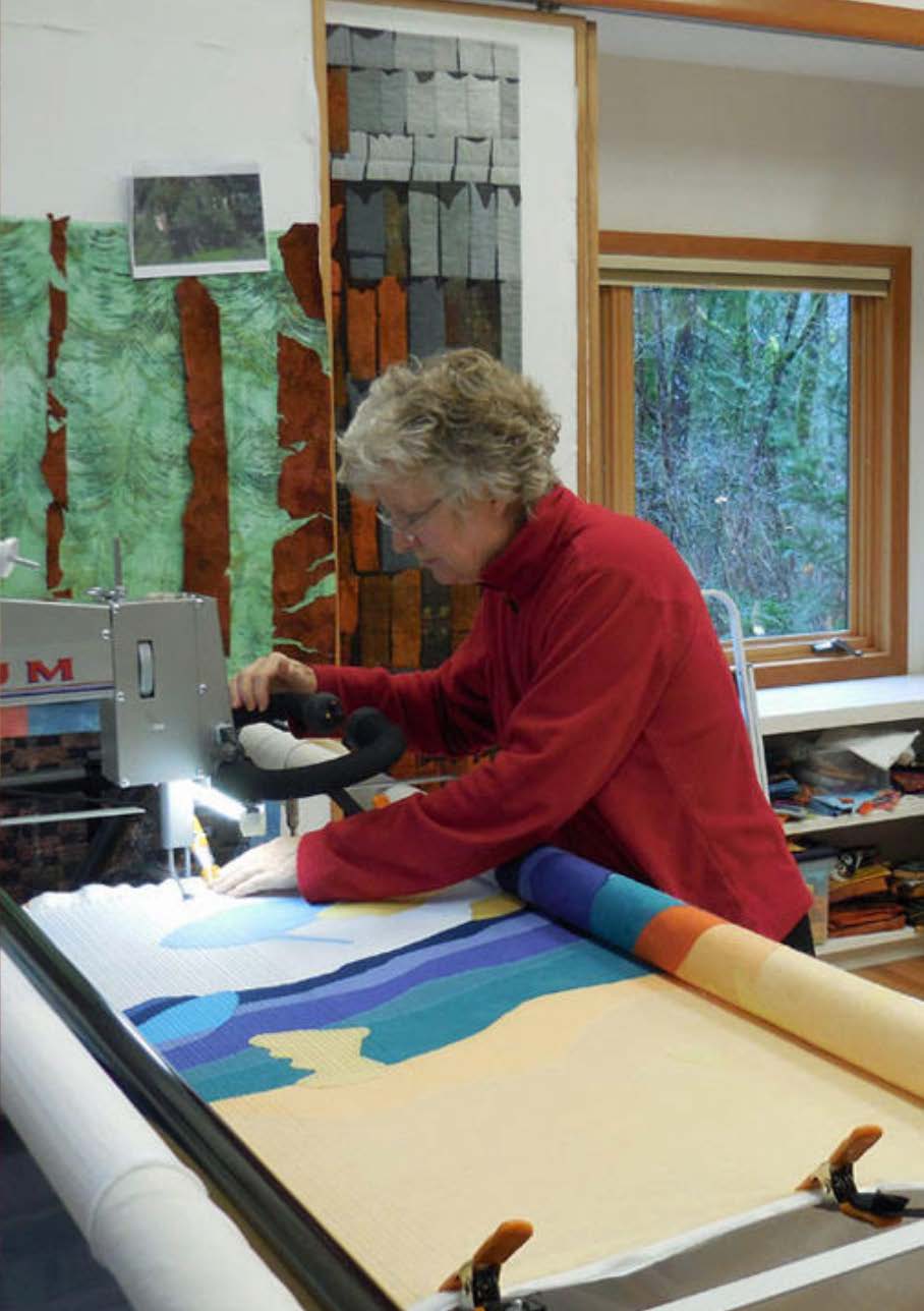 Ann Johnston Which Came First presentation) SAQA Studio